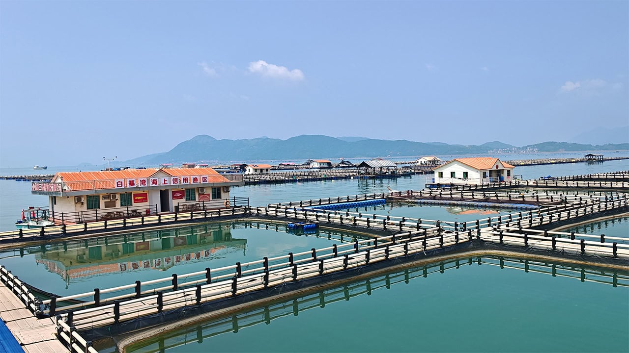 Fujian’s Aquaculture Blueprint Offers Transferable Insights for ASEAN